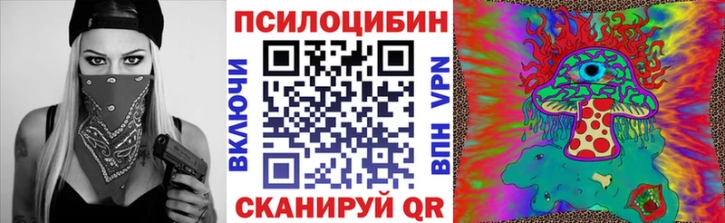 Галлюциногенные грибы мицелий где продают наркотики сайты даркнета как зайти Ивангород